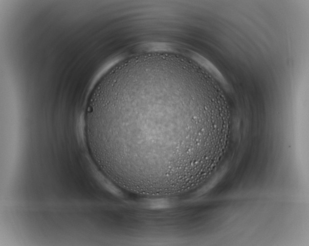X0000115520798200911061416