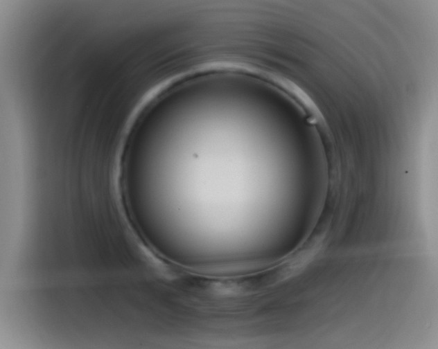 X0000115520799200911061416