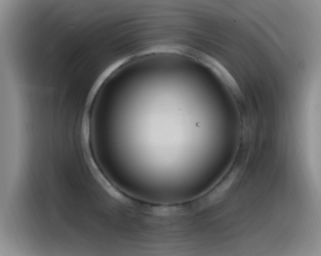 X0000115520804200911061416