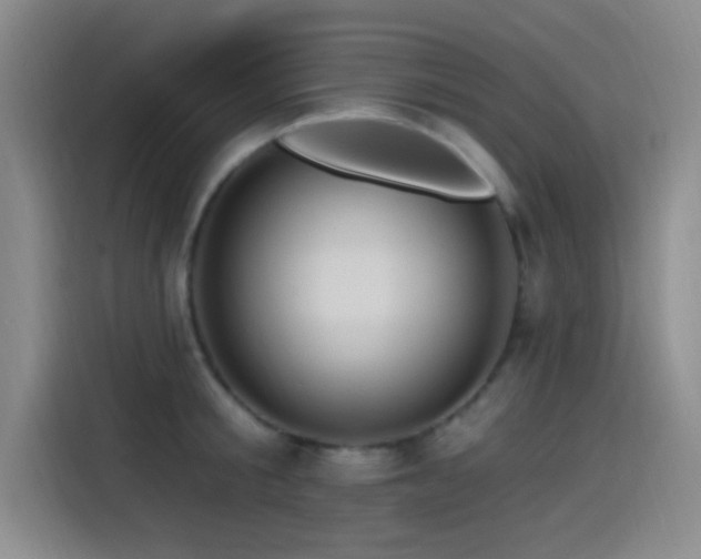 X0000115520805200911061416