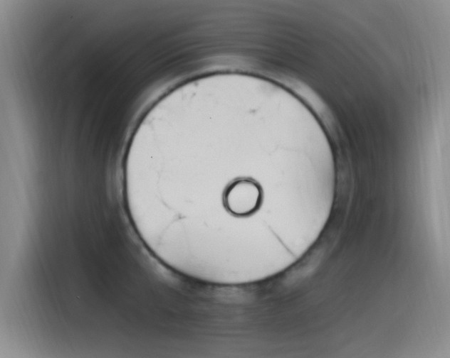 X0000115520807200911061416