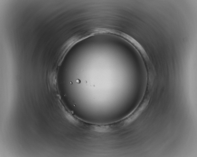 X0000115520809200911061416