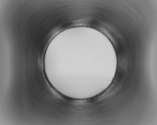 X0000115520810200911061416