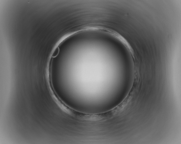 X0000115520811200911061416