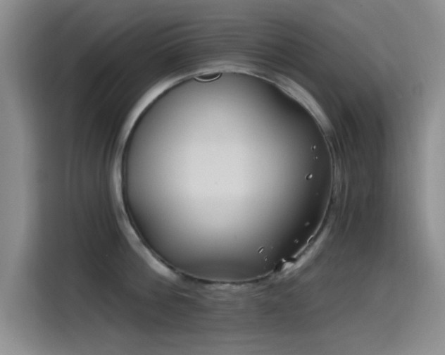 X0000115520812200911061416