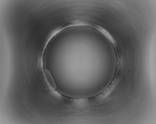 X0000115520813200911061416