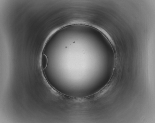 X0000115520815200911061416