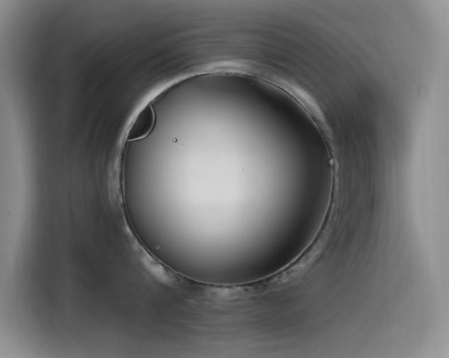 X0000115520816200911061416