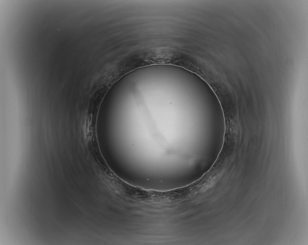 X0000115520818200911061415