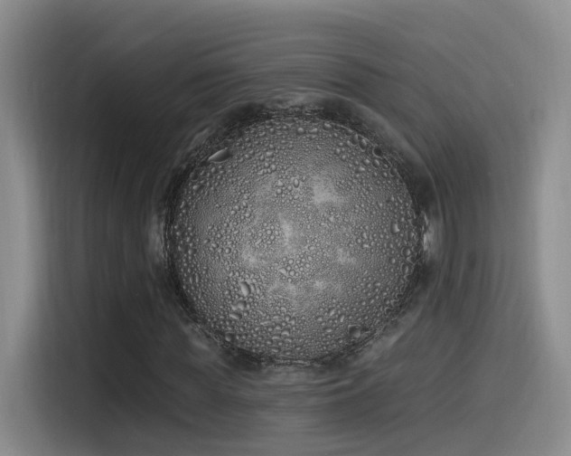 X0000115520819200911061415