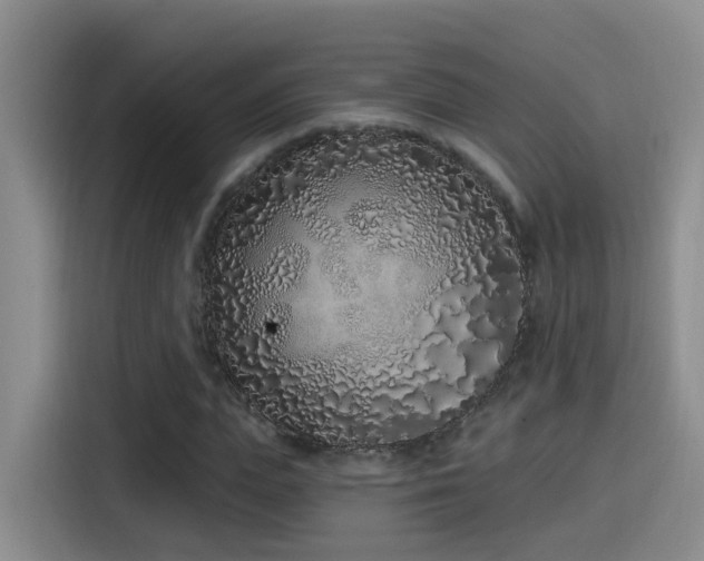X0000115520823200911061415