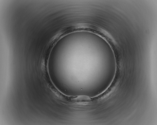 X0000115520825200911061415