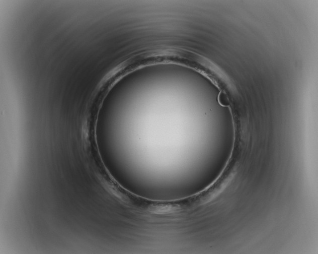 X0000115520826200911061415