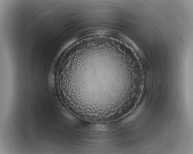 X0000115520827200911061415