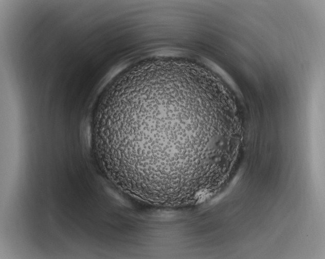 X0000115520829200911061415