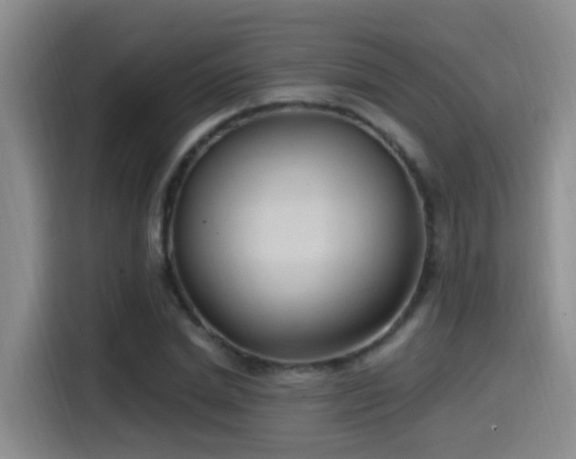 X0000115520830200911061415