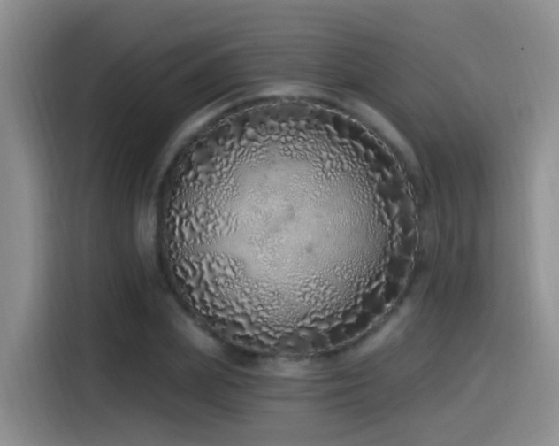 X0000115520831200911061415