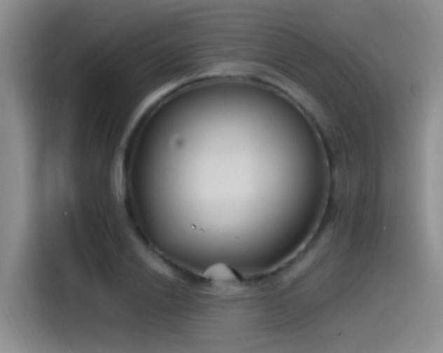 X0000115520838200911061416