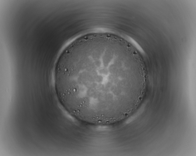 X0000115520839200911061416
