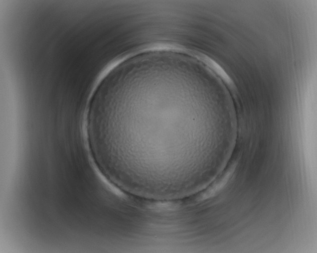 X0000115520847200911061416