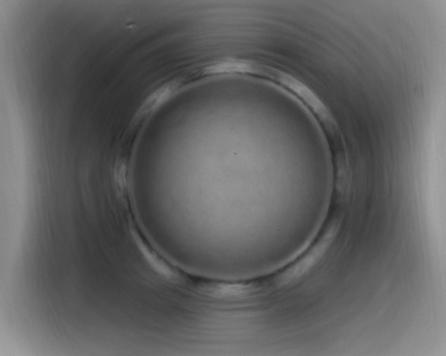 X0000115520849200911061416