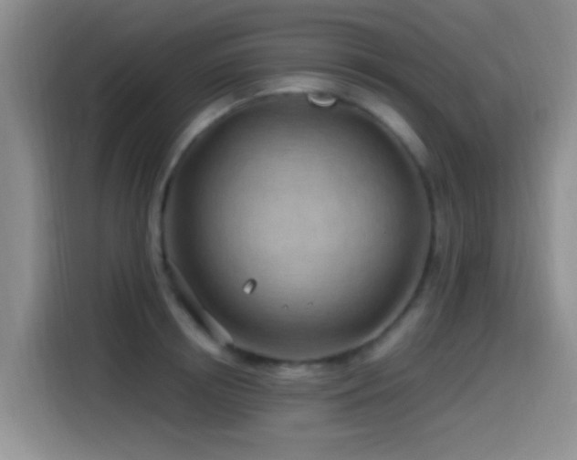X0000115520850200911061416