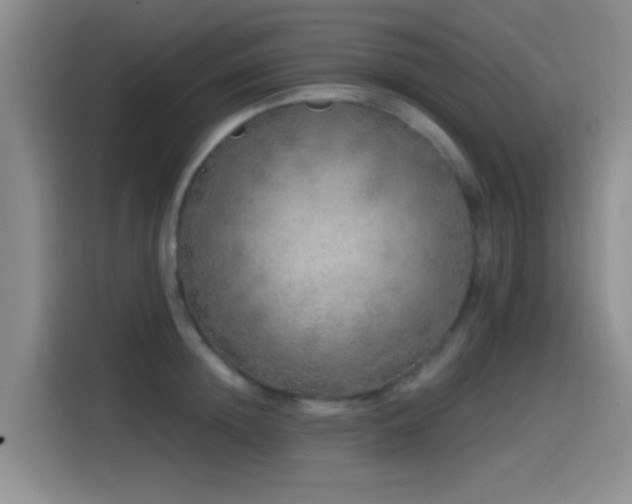 X0000115520852200911061416