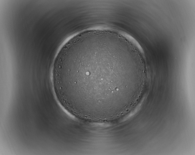 X0000115520855200911061416