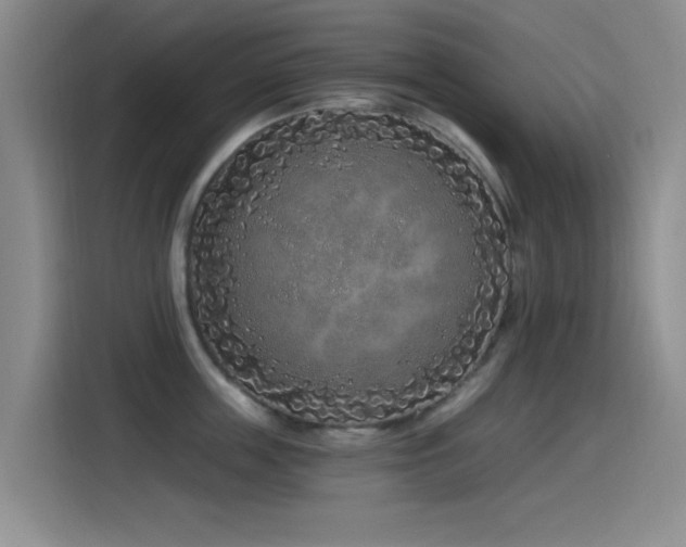 X0000115520859200911061416