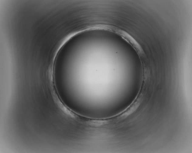 X0000115520860200911061416
