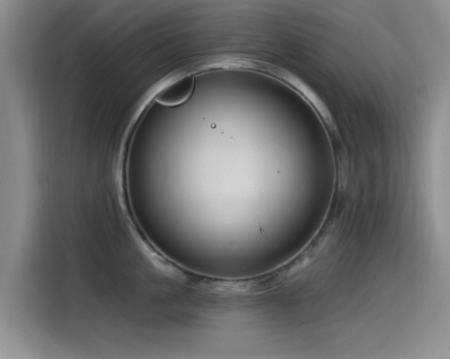 X0000115520861200911061416
