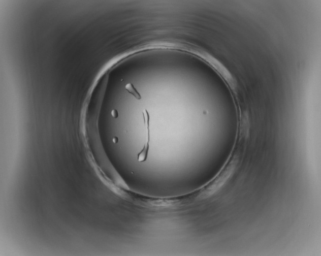 X0000115520862200911061416