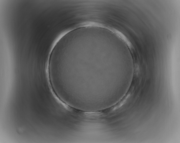 X0000115520863200911061416