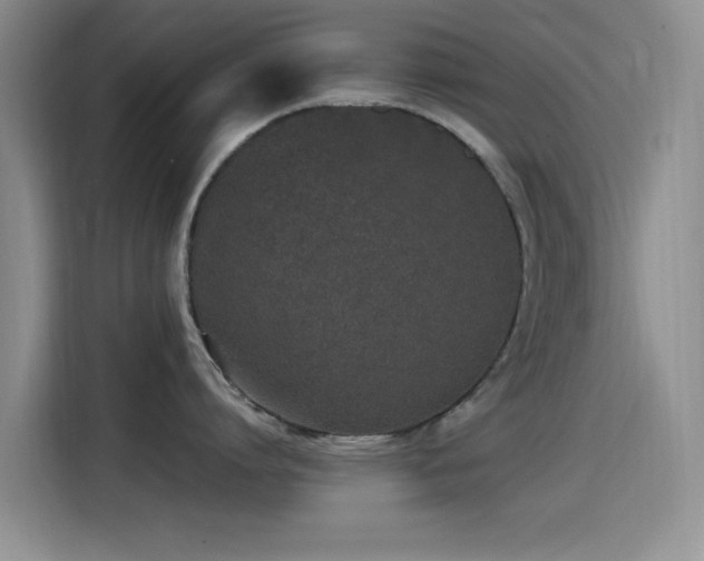X0000115520864200911061416
