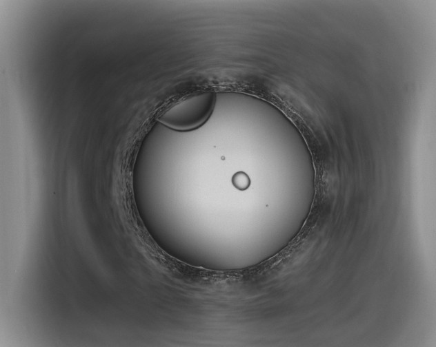 X0000115520865200911061415