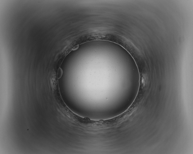 X0000115520867200911061415