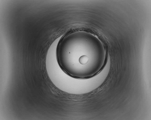 X0000115520868200911061415