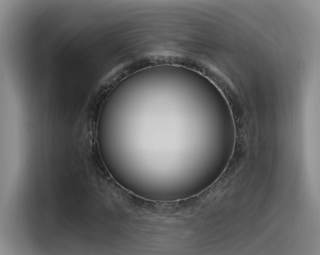 X0000115520870200911061415