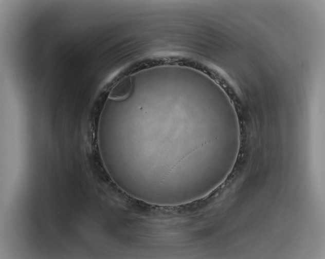X0000115520871200911061415
