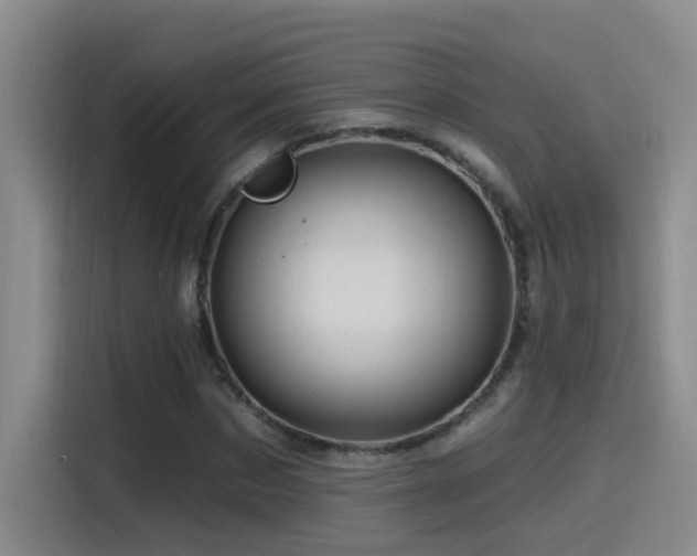 X0000115520873200911061415