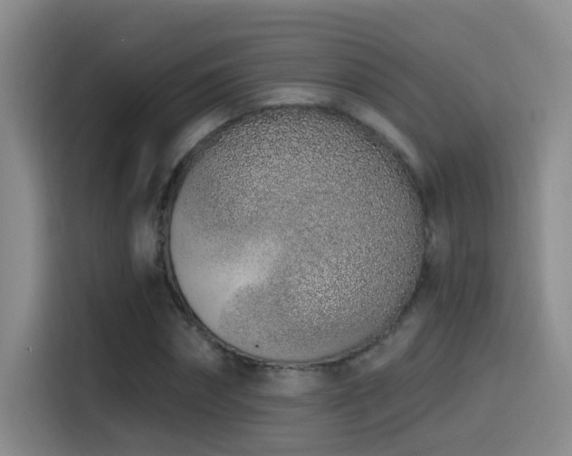 X0000115520874200911061415