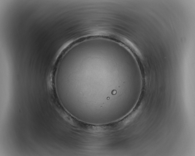 X0000115520875200911061415
