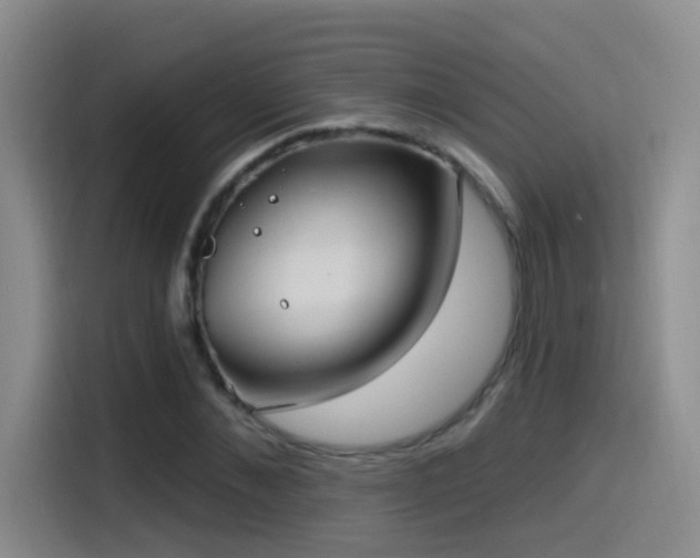 X0000115520876200911061415