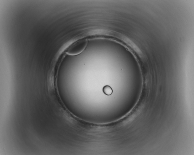 X0000115520877200911061415
