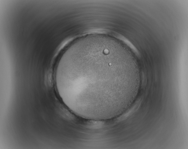 X0000115520878200911061415