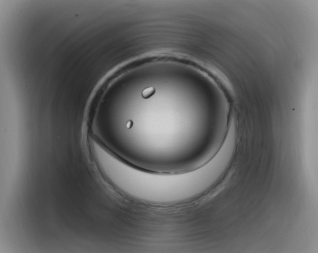X0000115520880200911061415