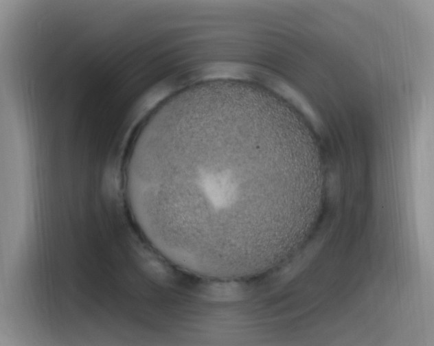 X0000115520882200911061415