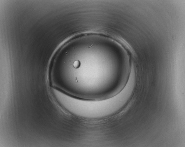 X0000115520884200911061415