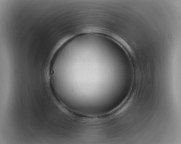 X0000115520885200911061415