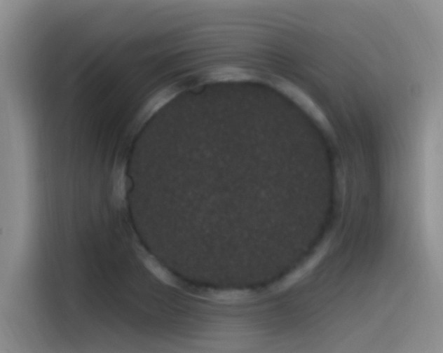 X0000115520889200911061415